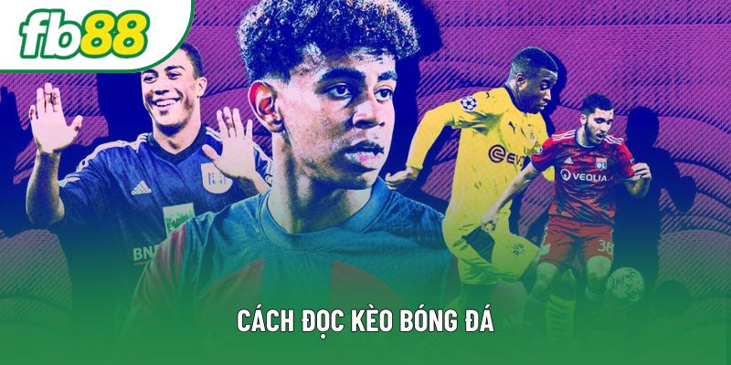 Cách Đọc Kèo Bóng Đá FB88 Chuẩn Xác Dễ Hiểu Cho Người Mới