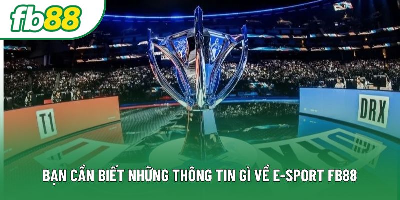Bạn cần biết những thông tin gì về E-sport FB88 Bạn cần biết những thông tin gì về E-sport FB88
