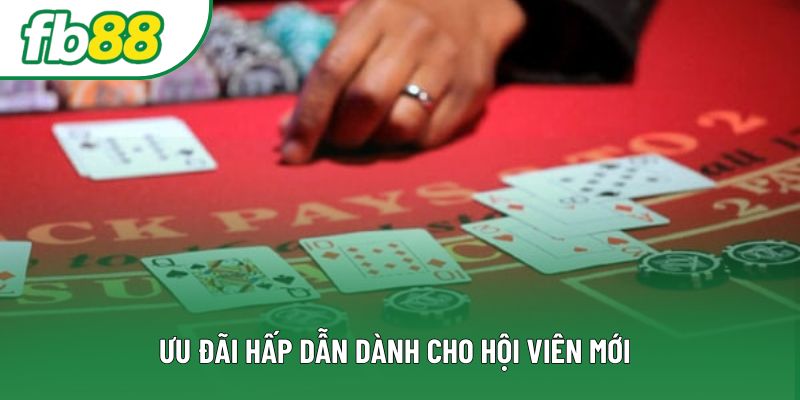 Ưu đãi hấp dẫn dành cho hội viên mới